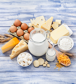 Lácteos y Huevos