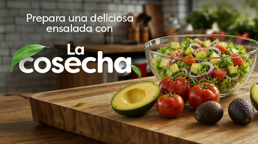 Destacados 1