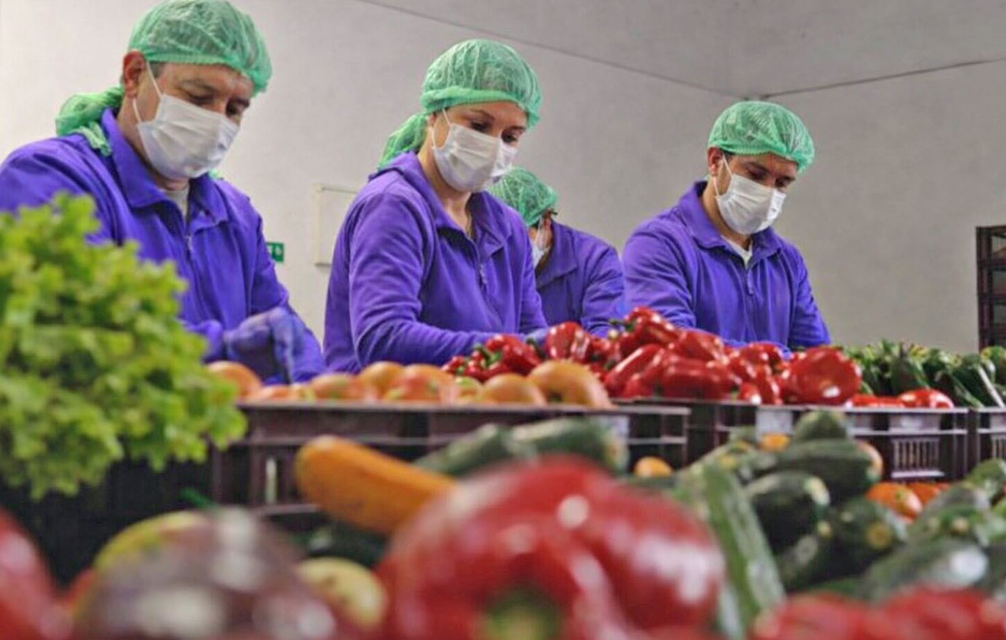 Alianza con ABACO. Red de Bancos de Alimentos de Colombia (abril 2025)